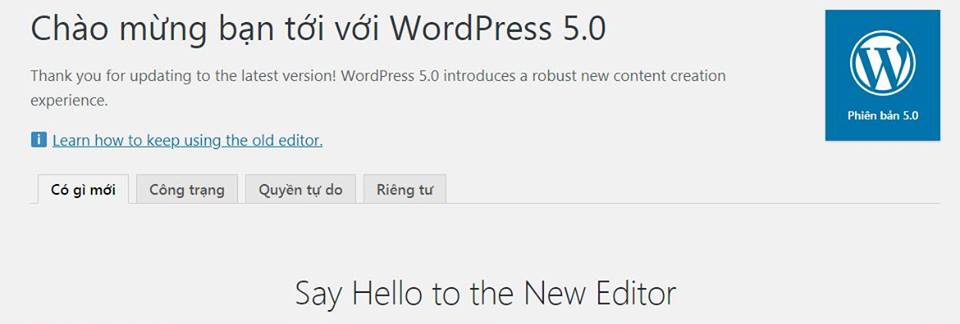 WordPress 5.0 Không Nên Cập Nhật Nếu Bạn là người Mới